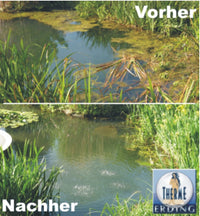 BioTopVit – Wasserbehälter bis 500 m³